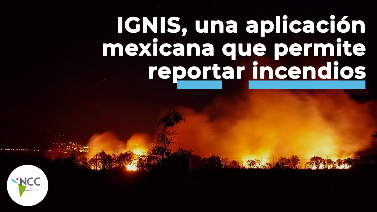 IGNIS, una aplicación mexicana que permite reportar incendios | 475 | 22 de 28 de agosto 2022