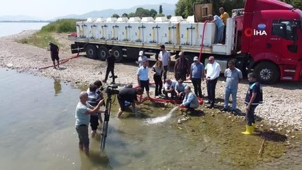 Göl ve göletlere 2,5 milyon sazan bırakıldı