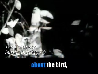 The Trashmen_Surfin bird (Clip 1963)karaoké