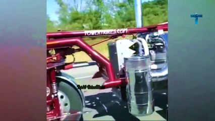 Incredible Like A Boss Moments Caught On Camera!