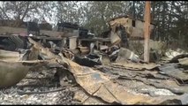 حرائق غابات مدمرة تقتل 38 شخصاً في الجزائر