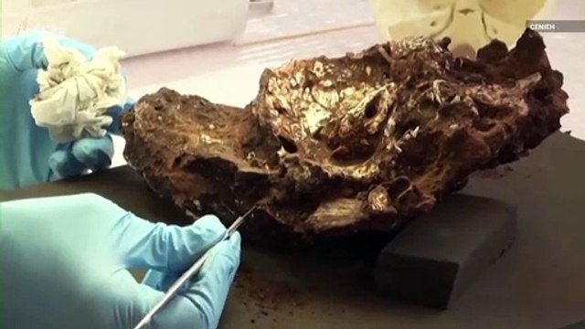 Human Emotions Revealed in the Oldest Known Burial Site