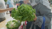«Ici c'est moins cher» : le marché solidaire, des fruits et légumes au juste prix «c'est possible»