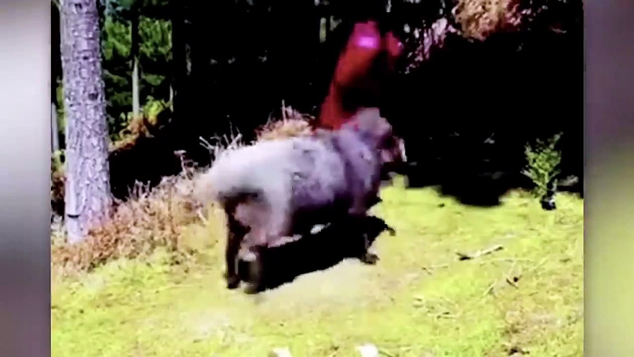 40 MOMENTS YOU WOULDN'T BELIEVE IF NOT FILMED