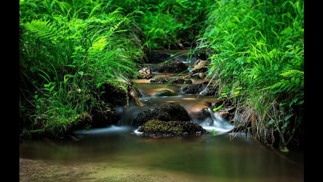 Relaksasi Musik Penghantar Tidur, Meditasi _ Relaksasi Suara Alam _ Aliran Sungai & Burung