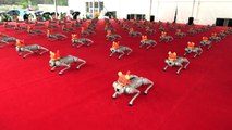 Tests Covid robotisé et cyber-chiens dansants: la Robot Expo ouvre ses portes en Chine