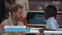 Prince Harry Makes Surprise Visit to Africa to Host U.S. Officials Touring Wildlife Areas