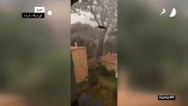 خمسة قتلى بعد عواصف رعدية في كورسيكا