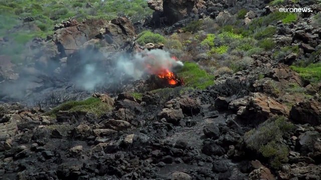 فيديو: حرائق الغابات في جزيرة صقلية الإيطالية.. المصمم الشهير جورجيو أرماني وآخرون يفرون