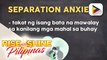 SAY NI DOK | Alamin kung paano makatutulong sa separation anxiety ng mga bata ngayong darating na pasukan