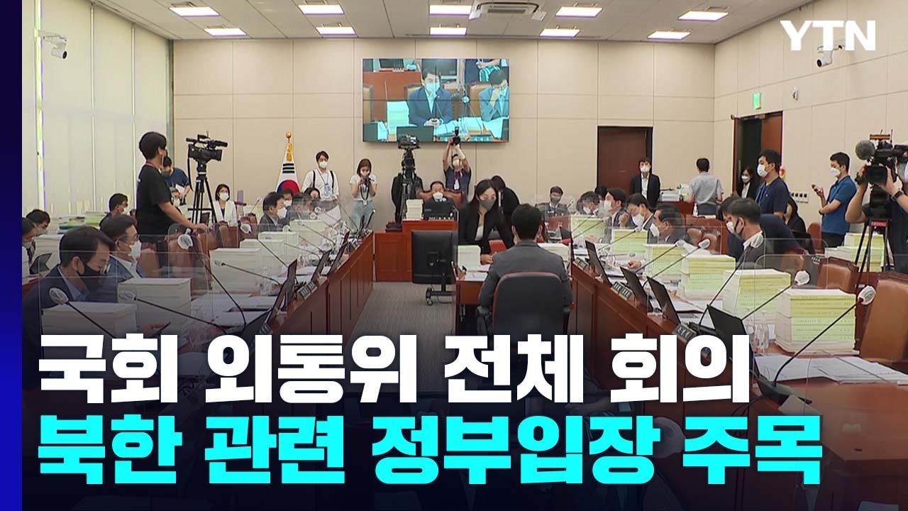 국회 외통위 전체 회의...北 담화문, 정부 입장 주목 / YTN