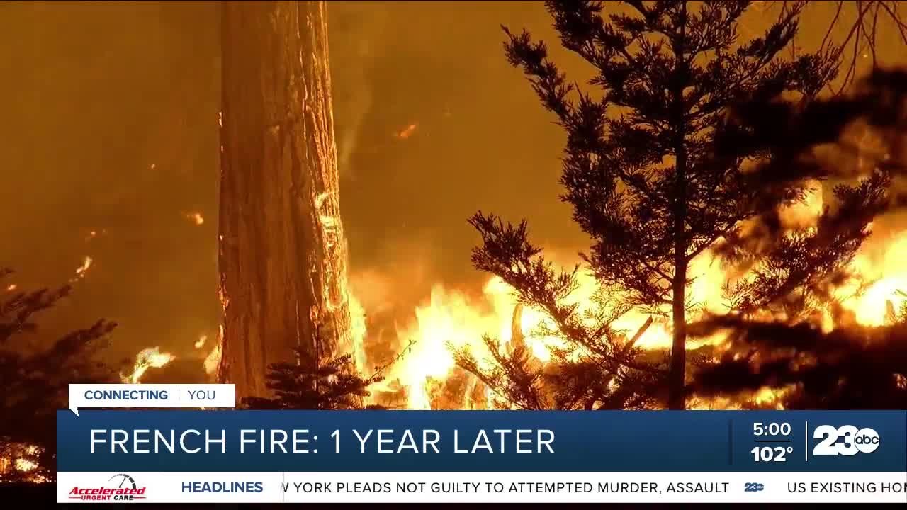 Looking back at the French Fire: one year later