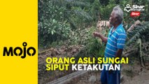 Gajah liar serang Orang Asli Sungai Siput