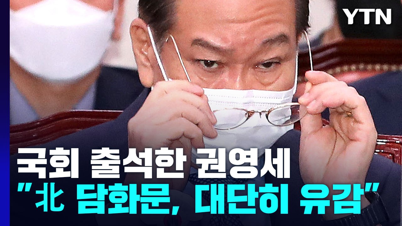 국회 출석한 권영세 "무례한 北 담화문, 대단히 유감" / YTN