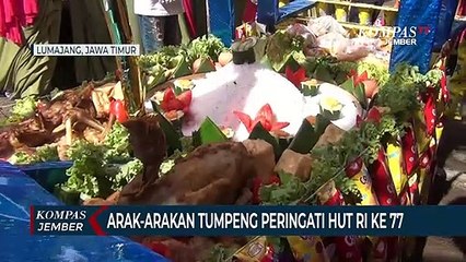 Warga Lumajang Mengarak dan Memperebutkan Tumpeng HUT RI Ke 77