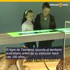 Científicos planean traer de vuelta animal de la extinción