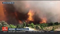 알제리 '산불 토네이도'에 수십명 사망…스페인은 열차에 산불 덮쳐