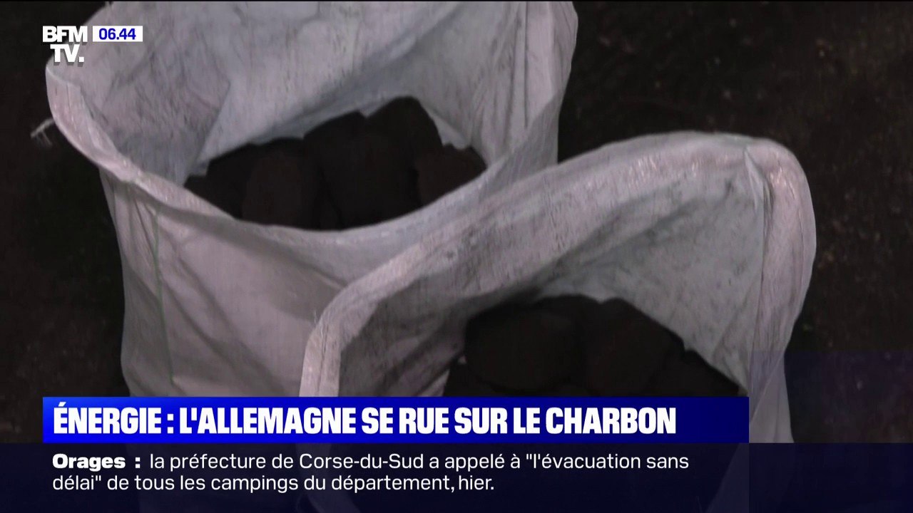 Craignant une pénurie de gaz l'hiver prochain, les Allemands se ruent sur le charbon