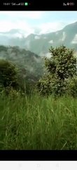 Beautiful view | सुंदर दृश्य | घूमने के लिए एक अच्छी जगह