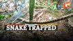 Why So Much Crowd? Snake Stuck In Fishing Net Rescued