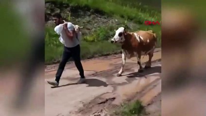 Türkiye Sadık öğretmeni konuşuyor! Dağ, tepe demedi sırtında taşıdı