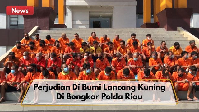 Polda Riau Bongkar Perjudian Di Bumi Lancang Kuning, 228 Pelaku Dibekuk !!