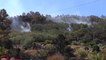 البرتغال تسيطر على الحرائق المشتعلة في غابات إشتريلا