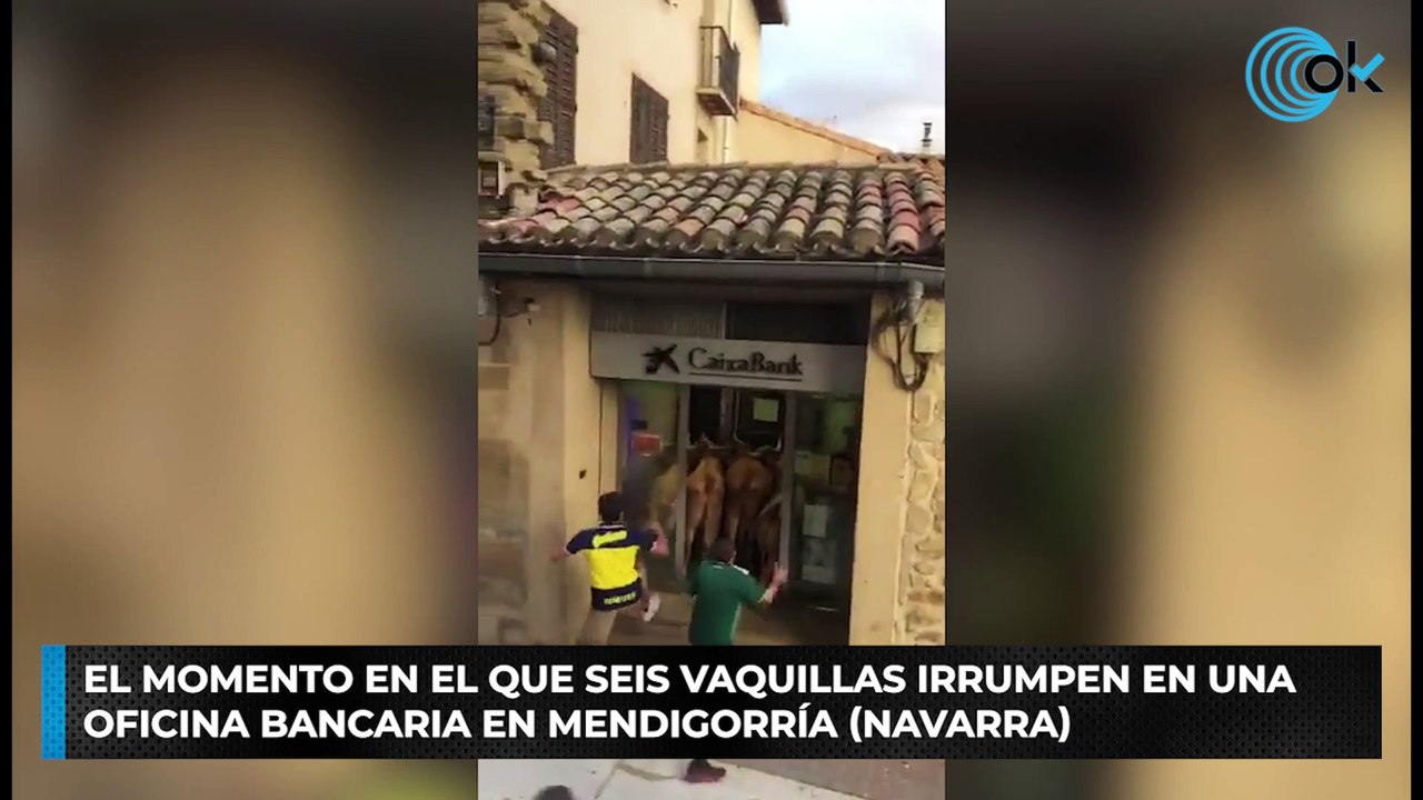 El momento en el que seis vaquillas irrumpen en una oficina bancaria en Mendigorría (Navarra)