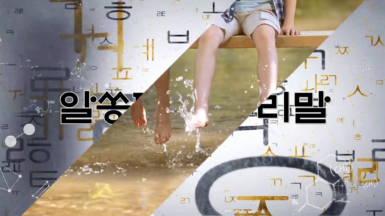 알쏭달쏭 우리말 56회