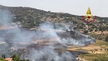 Incendi nel Palermitano, in azione i vigili del fuoco e 5 canadair