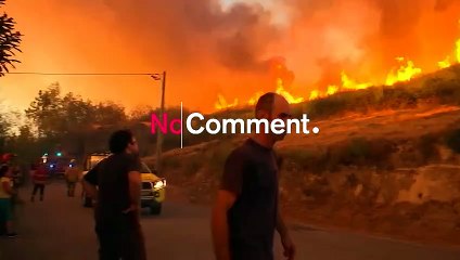 Portuguese park fire under control but new heat wave expected