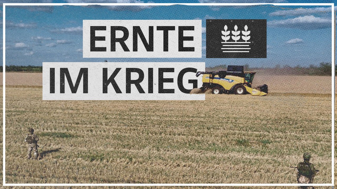 Landwirte in der Ostukraine: Ernte unter Lebensgefahr