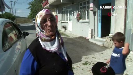 İstanbul'da korkutan görüntü: Bir binayı resmen istila ettiler