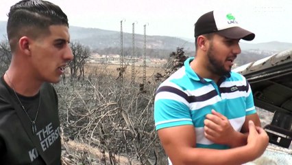 Algérie, Portugal, Russie : état des lieux des feux de forêt