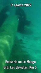 La plataforma Salvemos el Mar Menor se ha hecho eco de una vídeo de un emisario de La Manga por el que se cuelan toallitas a la albufera.