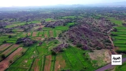 الخضرة تكسو الأرض في جازان بعد هطول الأمطار