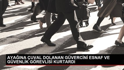 下载视频: AYAĞINA ÇUVAL DOLANAN GÜVERCİNİ ESNAF VE GÜVENLİK GÖREVLİSİ KURTARDI