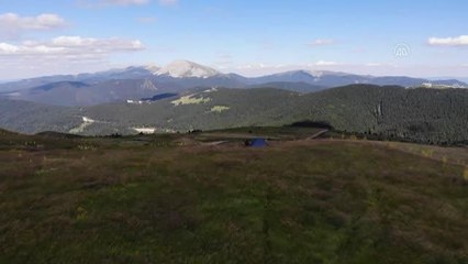 Kastamonu gündem haberi | KASTAMONU - Ilgaz Dağı ağustosta ilkbaharı yaşıyor