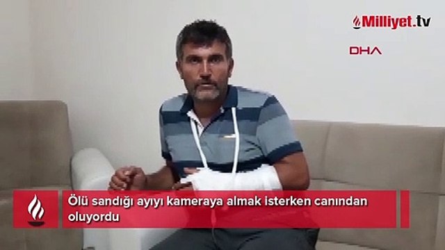 Ölü sandığı ayıyı kameraya almak isterken canından oluyordu
