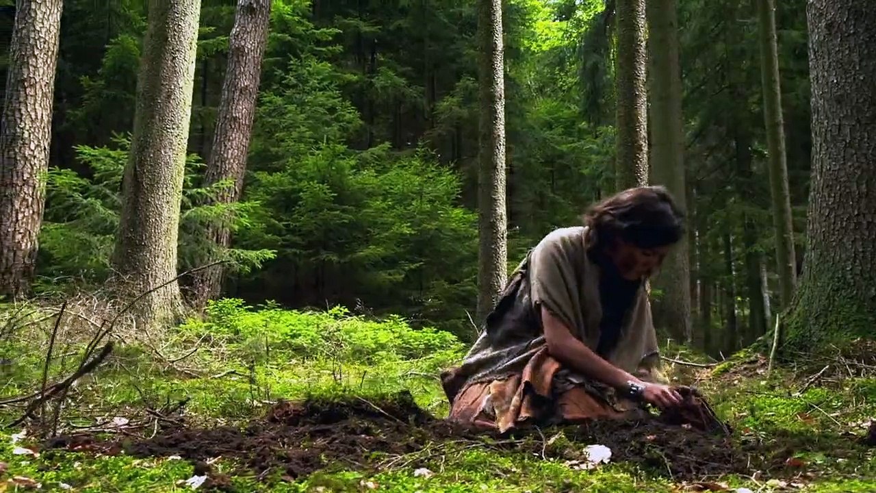 Fluch des Falken Staffel 1 Folge 41 HD Deutsch