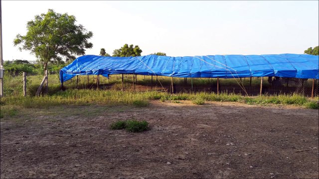 مزارع تربية الخروف و الغنم و الكبش و الماعز - كيف يمكن بناء المظلات السهلة للخروف و الكبش جزء-Sheep and Goat Farming -How to construct shed Part 7