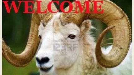 مزارع تربية الخروف والغنم والكبش والماعز- ما نوع الرعاية الواجب اتخاذها لزيادة الغنم؟ جزء-Sheep and Goat Farming-Care for development of flock-Part 10