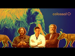 Dallas de extinction company plans to bring back the Tasmanian tiger