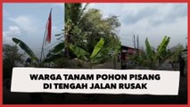 Viral Video Warga Tanam Pohon Pisang di Tengah Jalan Rusak yang Tak Kunjung Diperbaiki