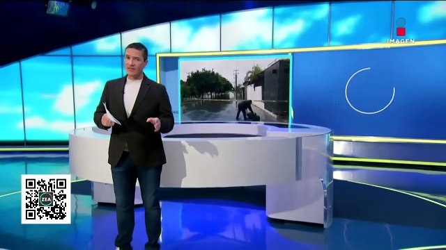 Lluvias en Quintana Roo dejan árboles caídos y calles inundadas