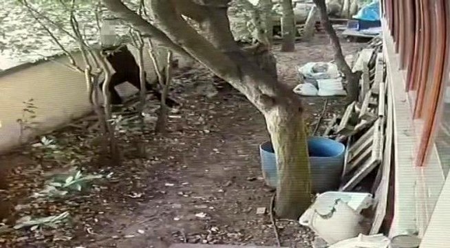 Tuzla'da 70 bin TL değerinde makine kablolarını çalan hırsızlar kamerada