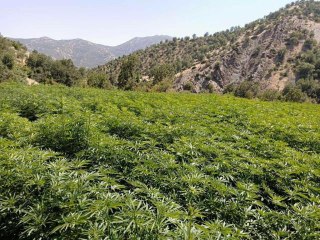 Son dakika haberi! Diyarbakır'da terörün finansman kaynağı "ablukaya" alındı