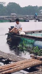 Viral nunggu babu mancing