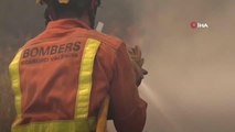 Son dakika haber: İspanya'nın Valencia bölgesindeki yangında 19 bin hektar alan kül oldu