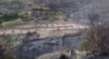 Pantelleria - Incendio di vegetazione (19.08.22)